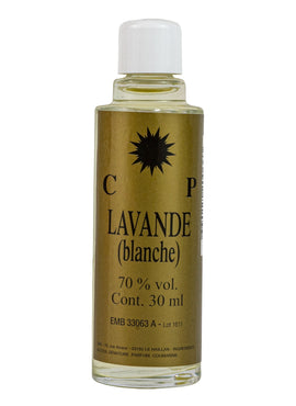 Lavande Blanche